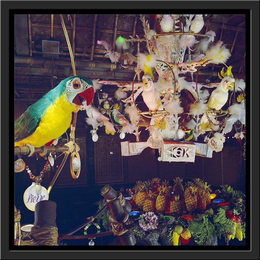 "Pierre in Walt Disney's Enchanted Tiki Room" from Disney Photo Archives - Image 12