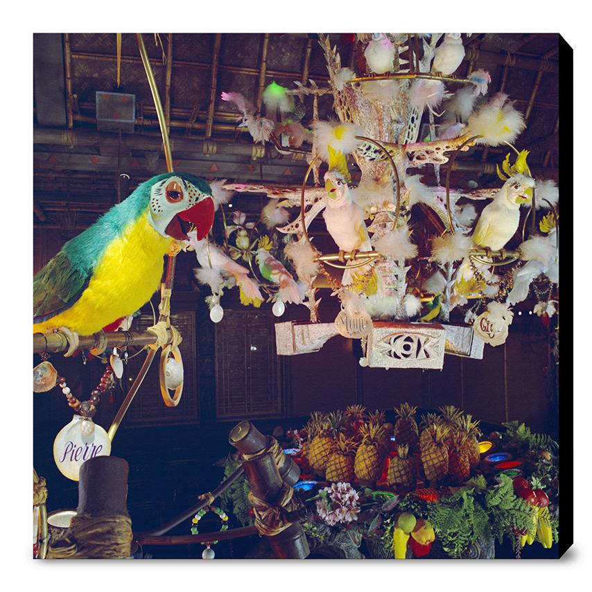 "Pierre in Walt Disney's Enchanted Tiki Room" from Disney Photo Archives - Image 13