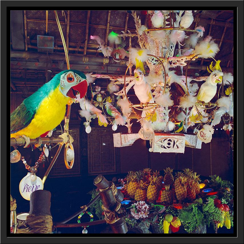 "Pierre in Walt Disney's Enchanted Tiki Room" from Disney Photo Archives - Image 14