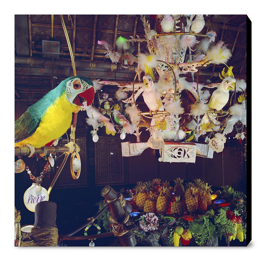 "Pierre in Walt Disney's Enchanted Tiki Room" from Disney Photo Archives - Image 15