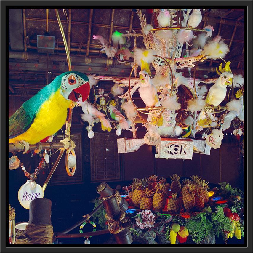 "Pierre in Walt Disney's Enchanted Tiki Room" from Disney Photo Archives - Image 16