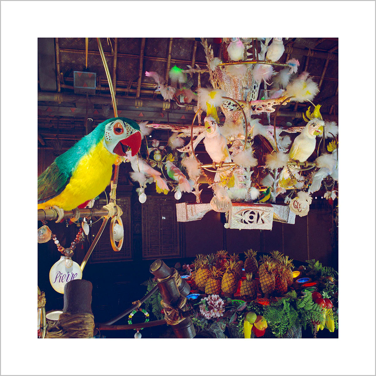 "Pierre in Walt Disney's Enchanted Tiki Room" from Disney Photo Archives - Image 2