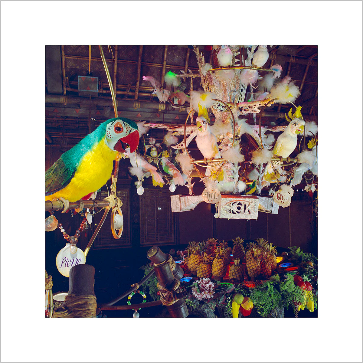 "Pierre in Walt Disney's Enchanted Tiki Room" from Disney Photo Archives - Image 3