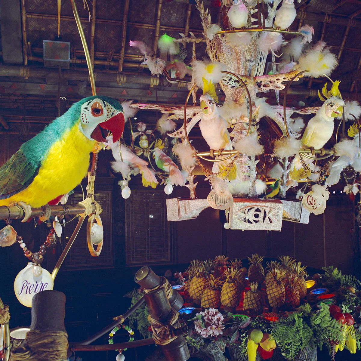 "Pierre in Walt Disney's Enchanted Tiki Room" from Disney Photo Archives - Image 4