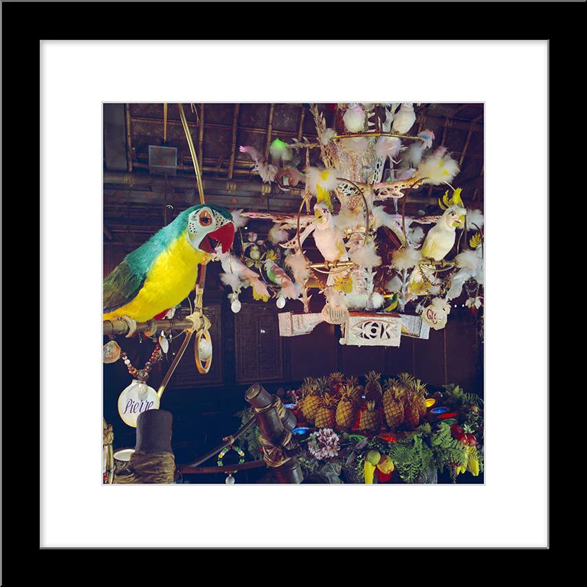 "Pierre in Walt Disney's Enchanted Tiki Room" from Disney Photo Archives - Image 5