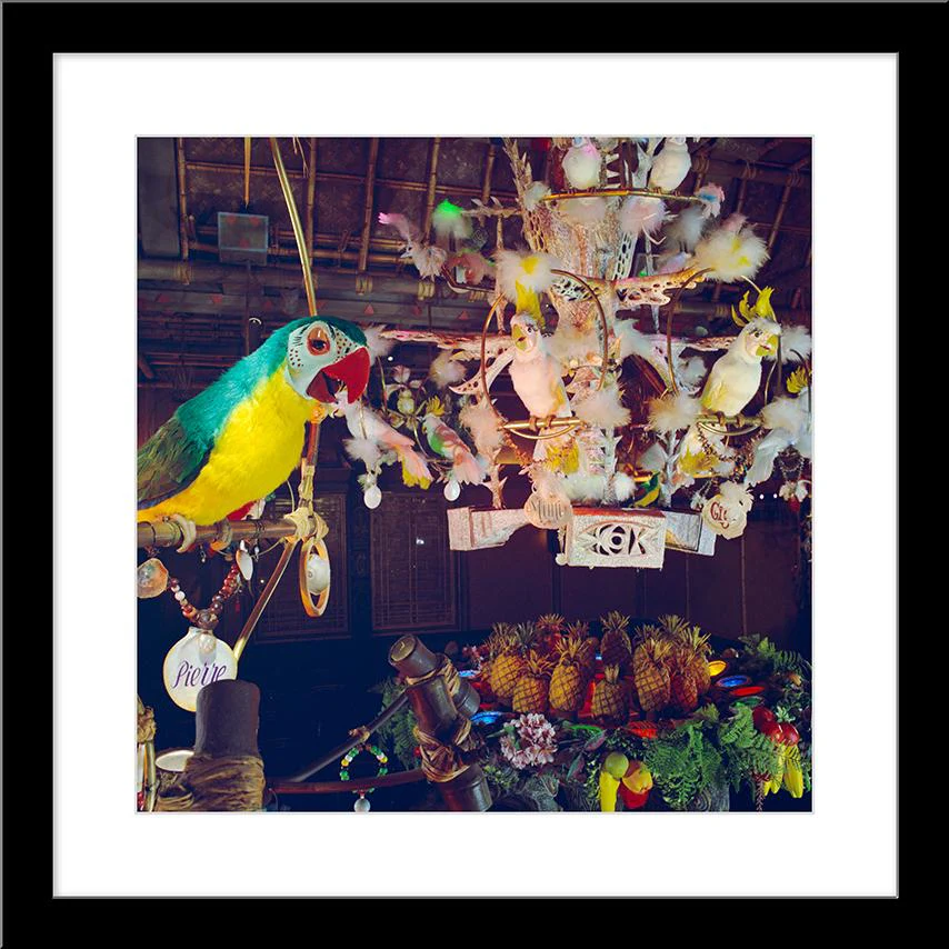 "Pierre in Walt Disney's Enchanted Tiki Room" from Disney Photo Archives - Image 6