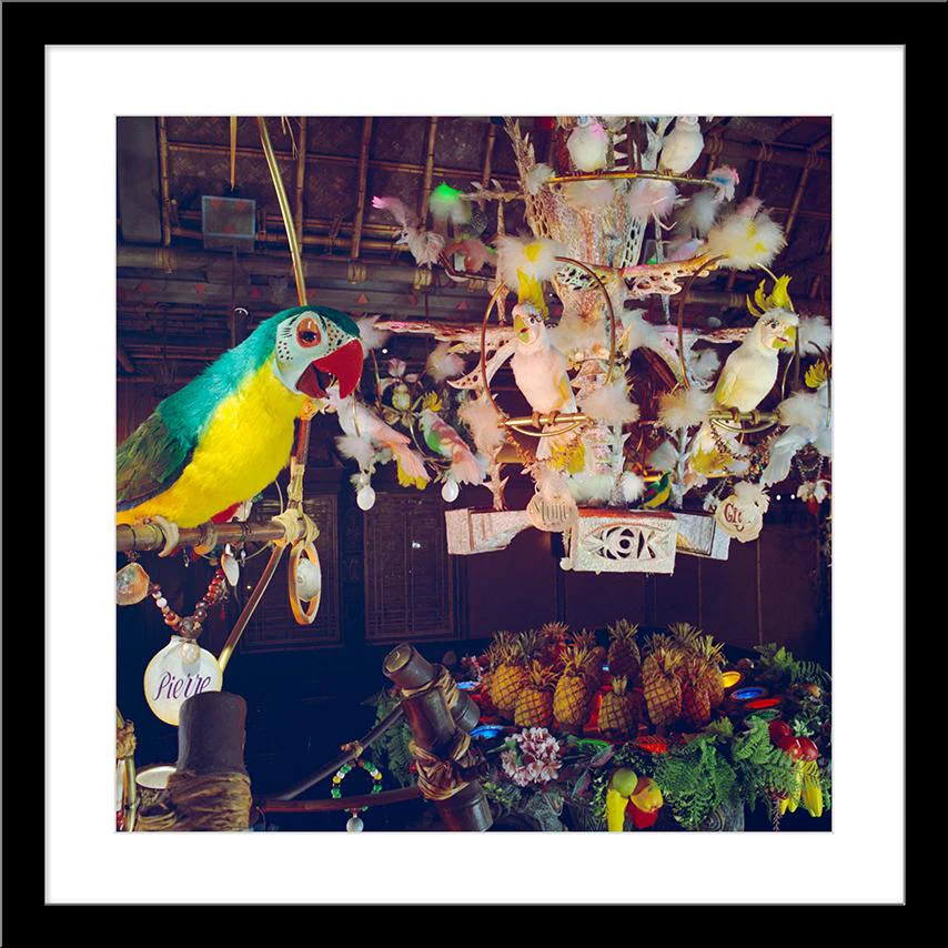 "Pierre in Walt Disney's Enchanted Tiki Room" from Disney Photo Archives - Image 7