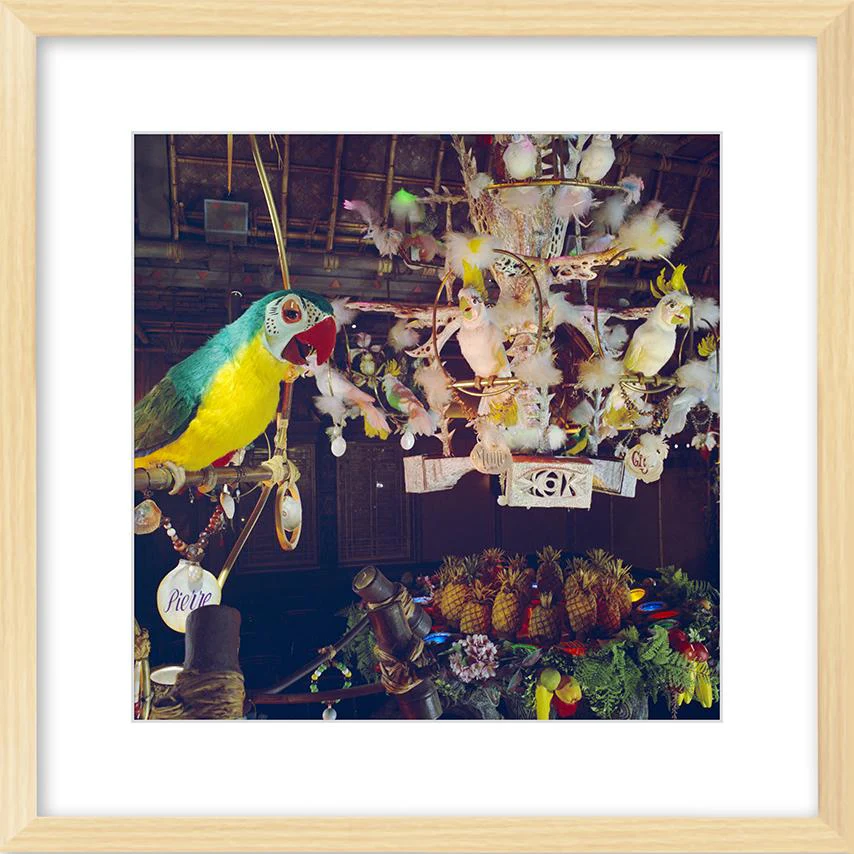"Pierre in Walt Disney's Enchanted Tiki Room" from Disney Photo Archives - Image 8