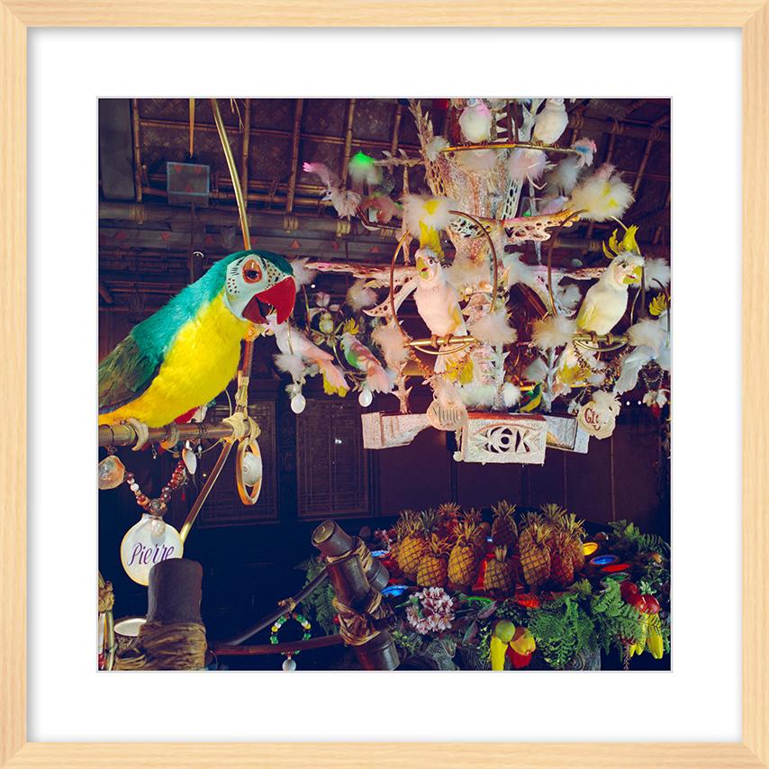 "Pierre in Walt Disney's Enchanted Tiki Room" from Disney Photo Archives - Image 9