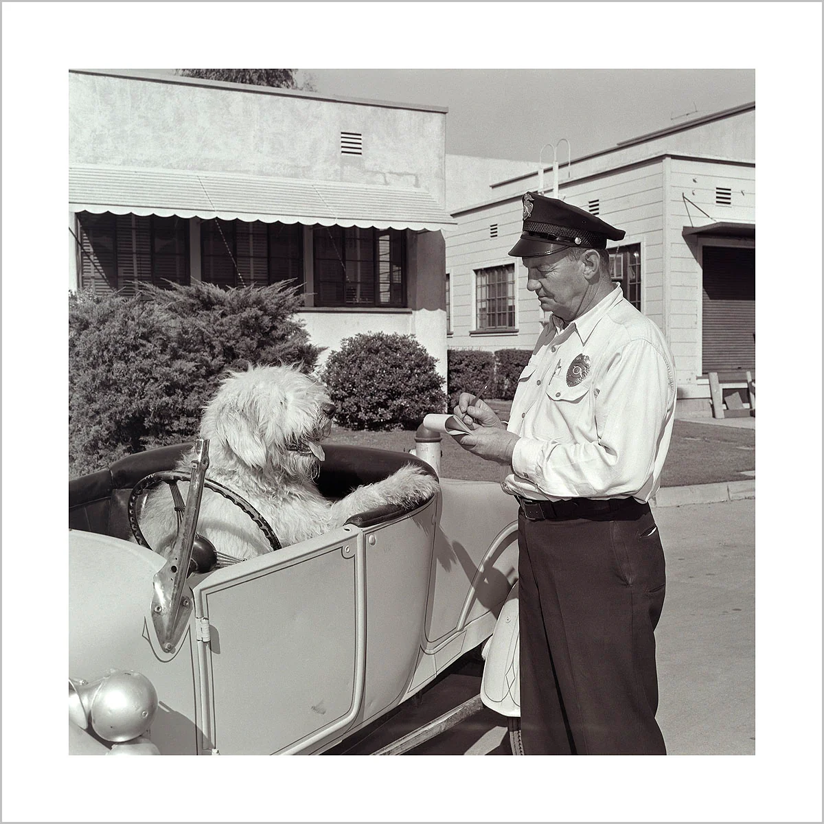 "The Shaggy Dog Speeding Ticket" from Disney Photo Archives