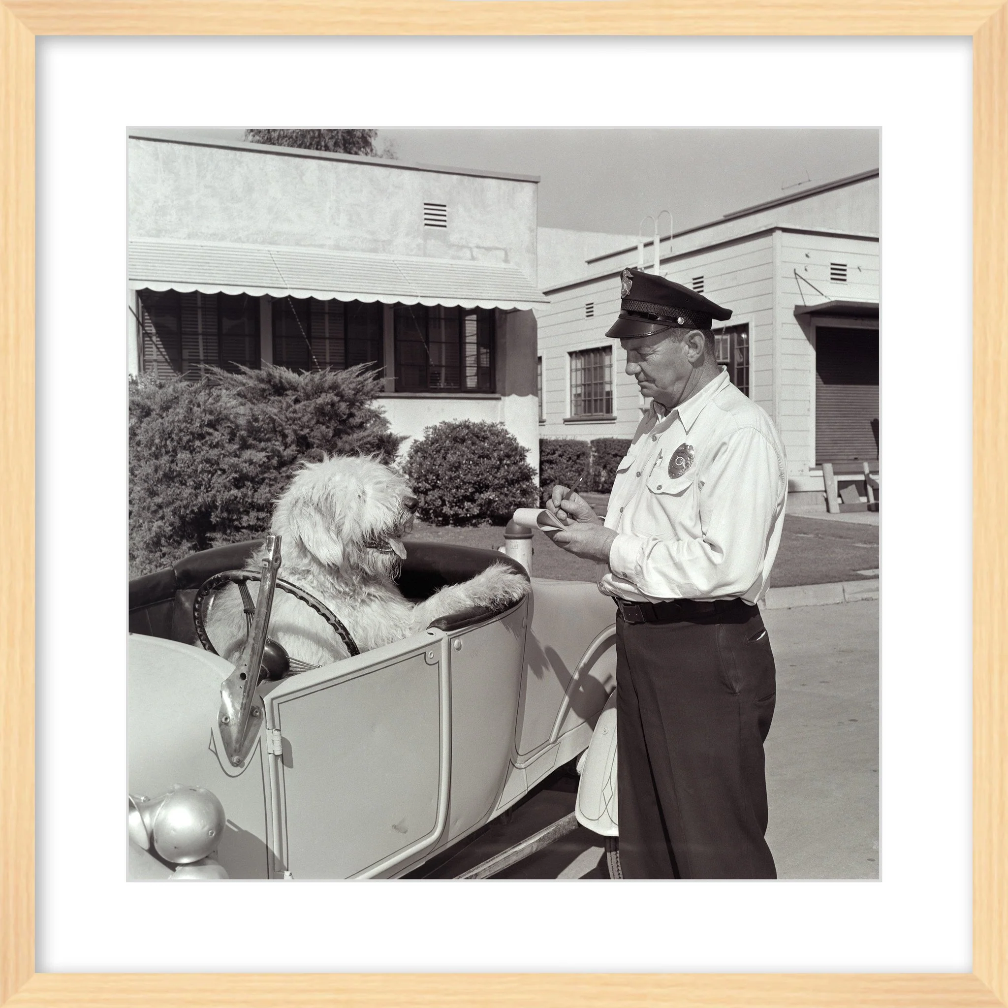 "The Shaggy Dog Speeding Ticket" from Disney Photo Archives - Image 10