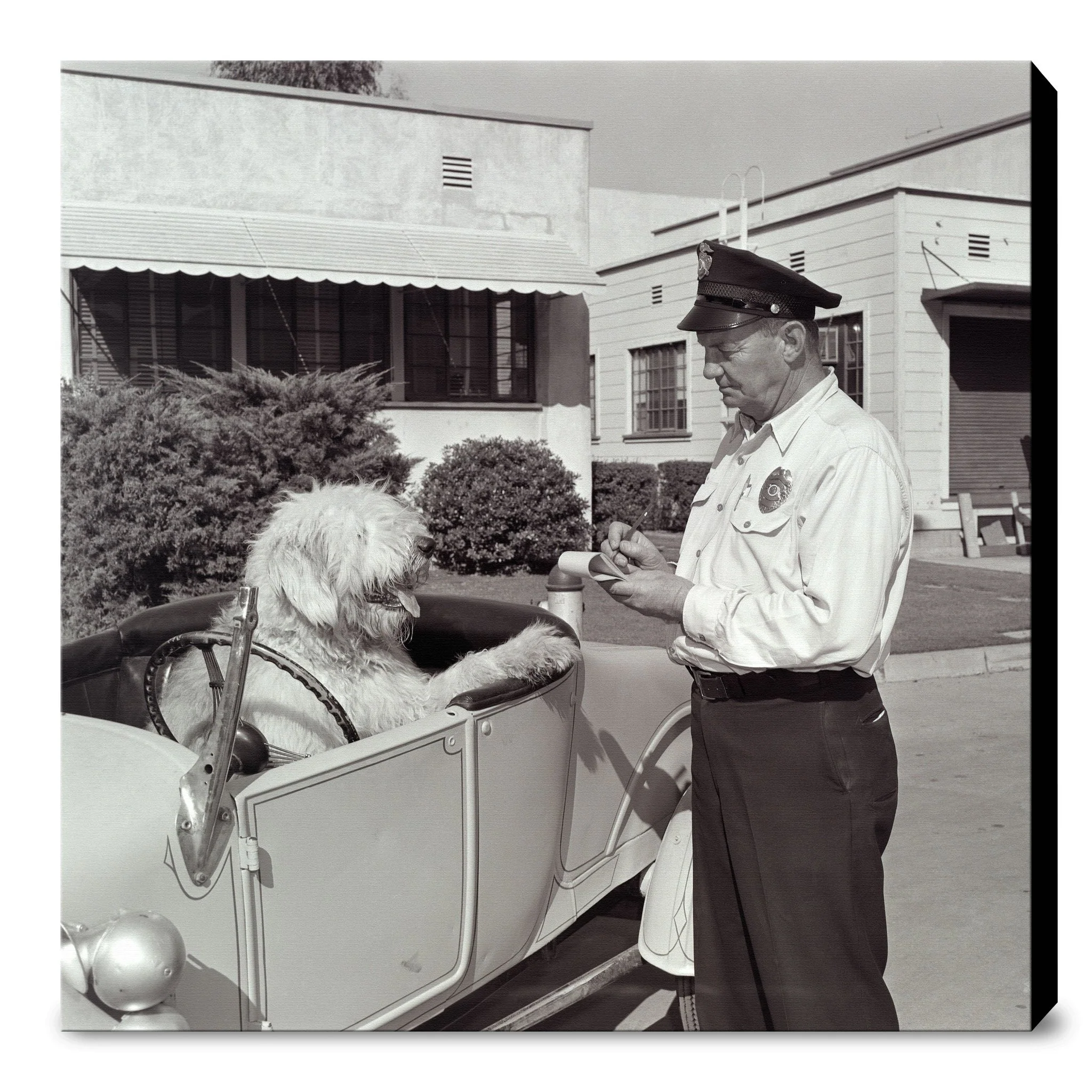 "The Shaggy Dog Speeding Ticket" from Disney Photo Archives - Image 11