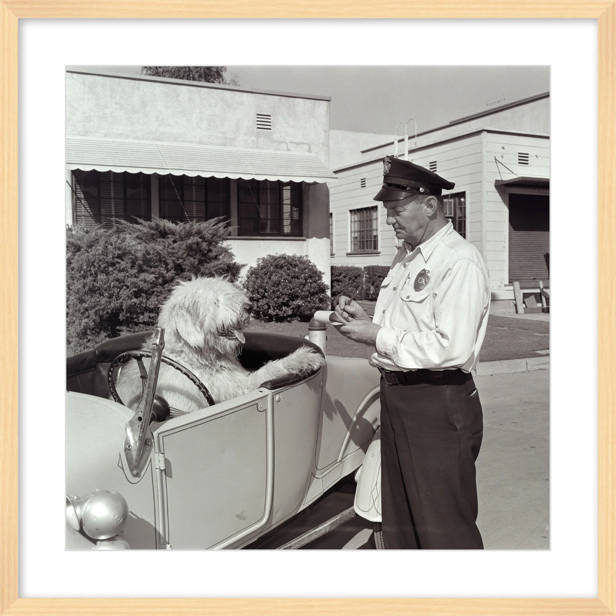 "The Shaggy Dog Speeding Ticket" from Disney Photo Archives - Image 12