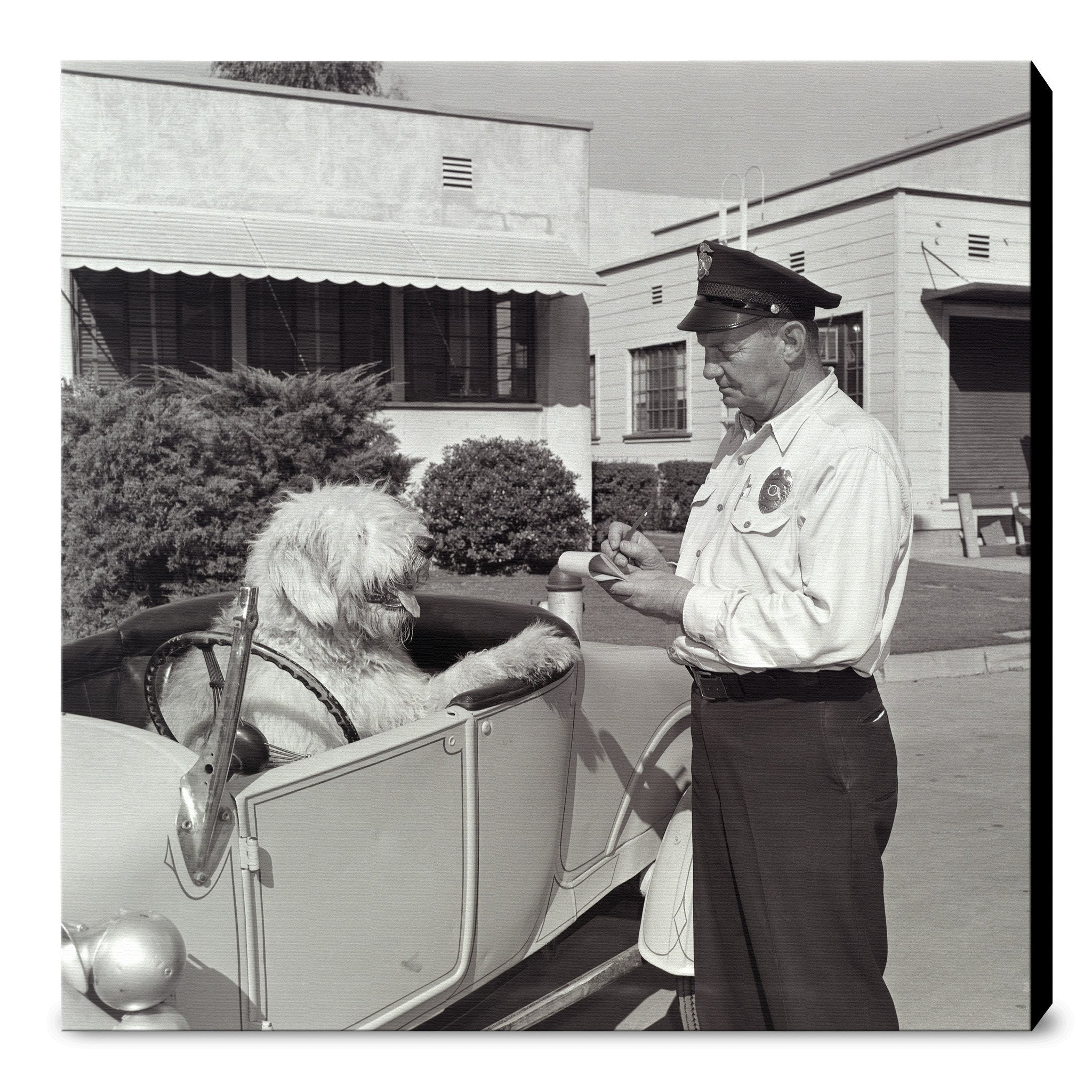 "The Shaggy Dog Speeding Ticket" from Disney Photo Archives - Image 13