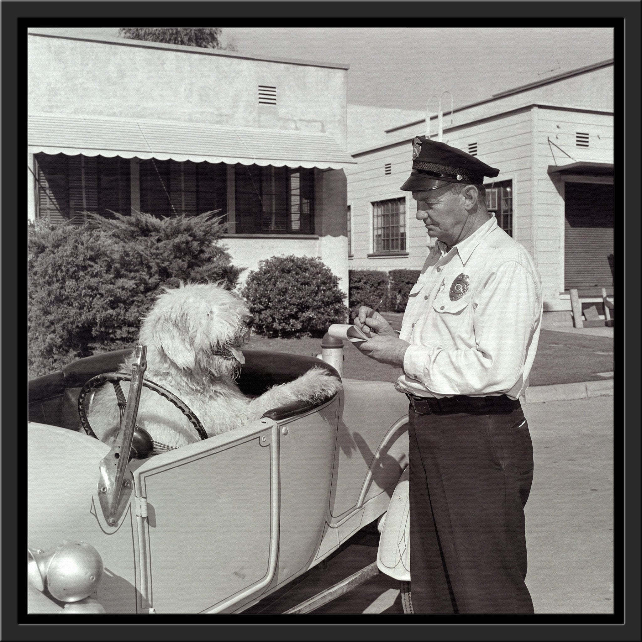 "The Shaggy Dog Speeding Ticket" from Disney Photo Archives - Image 15