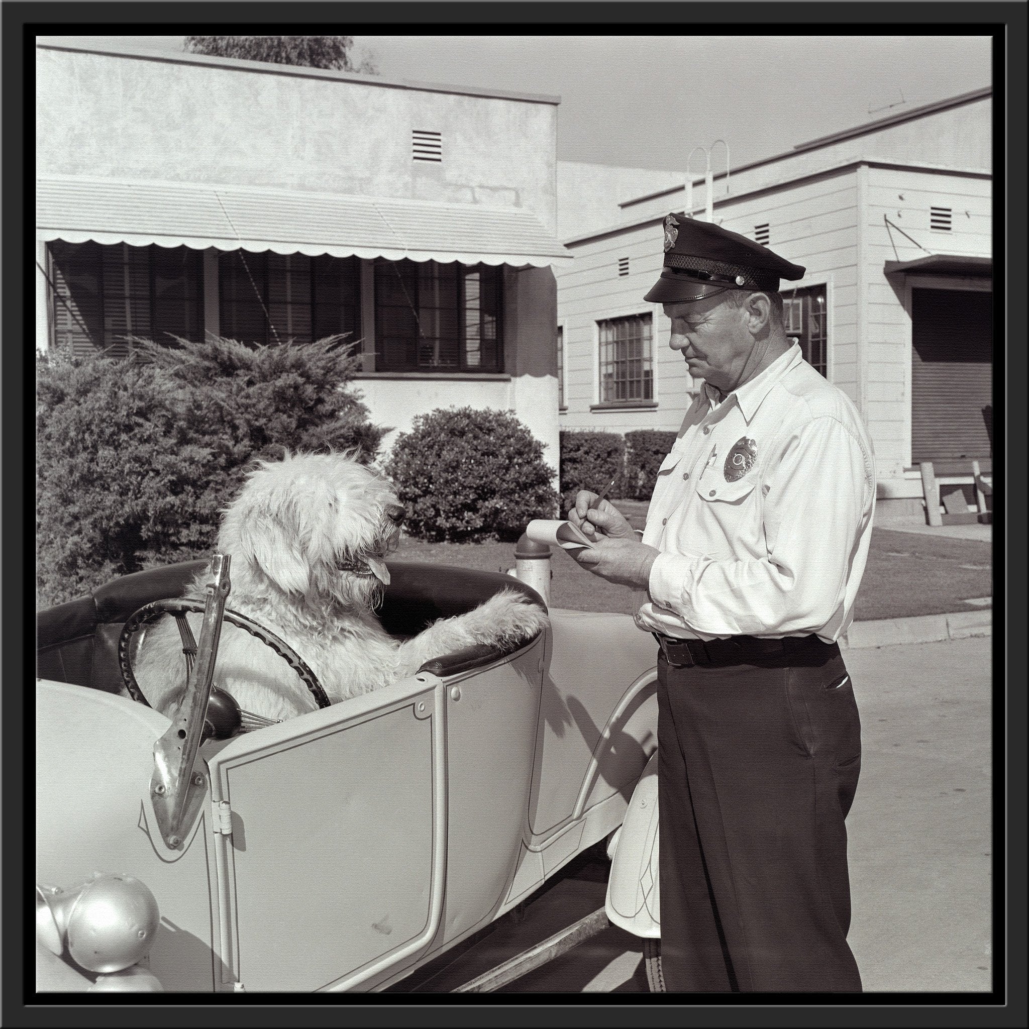 "The Shaggy Dog Speeding Ticket" from Disney Photo Archives - Image 16