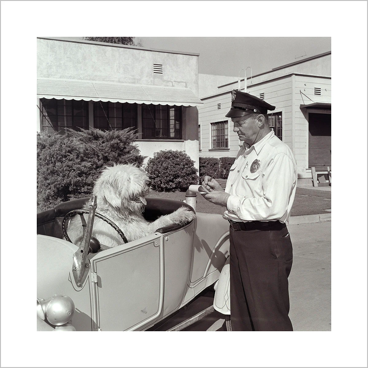 "The Shaggy Dog Speeding Ticket" from Disney Photo Archives - Image 2