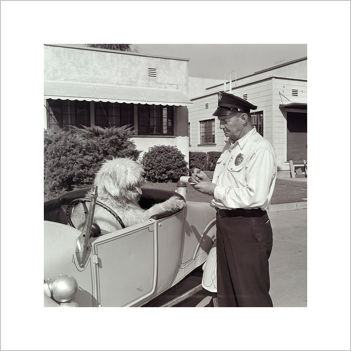 "The Shaggy Dog Speeding Ticket" from Disney Photo Archives - Image 3
