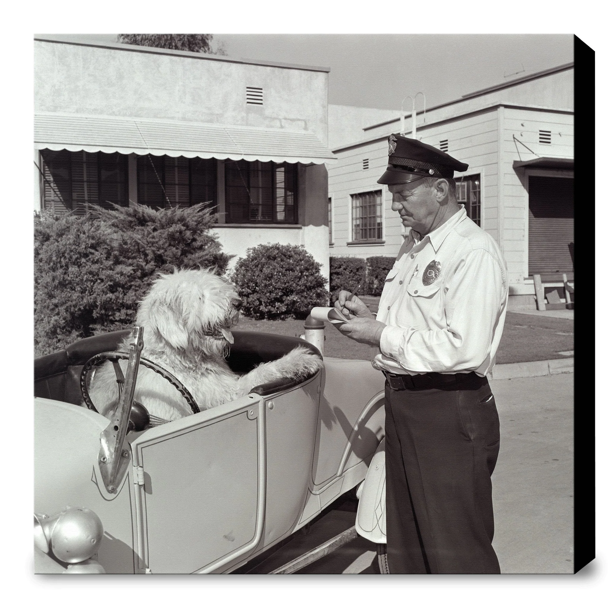 "The Shaggy Dog Speeding Ticket" from Disney Photo Archives - Image 5
