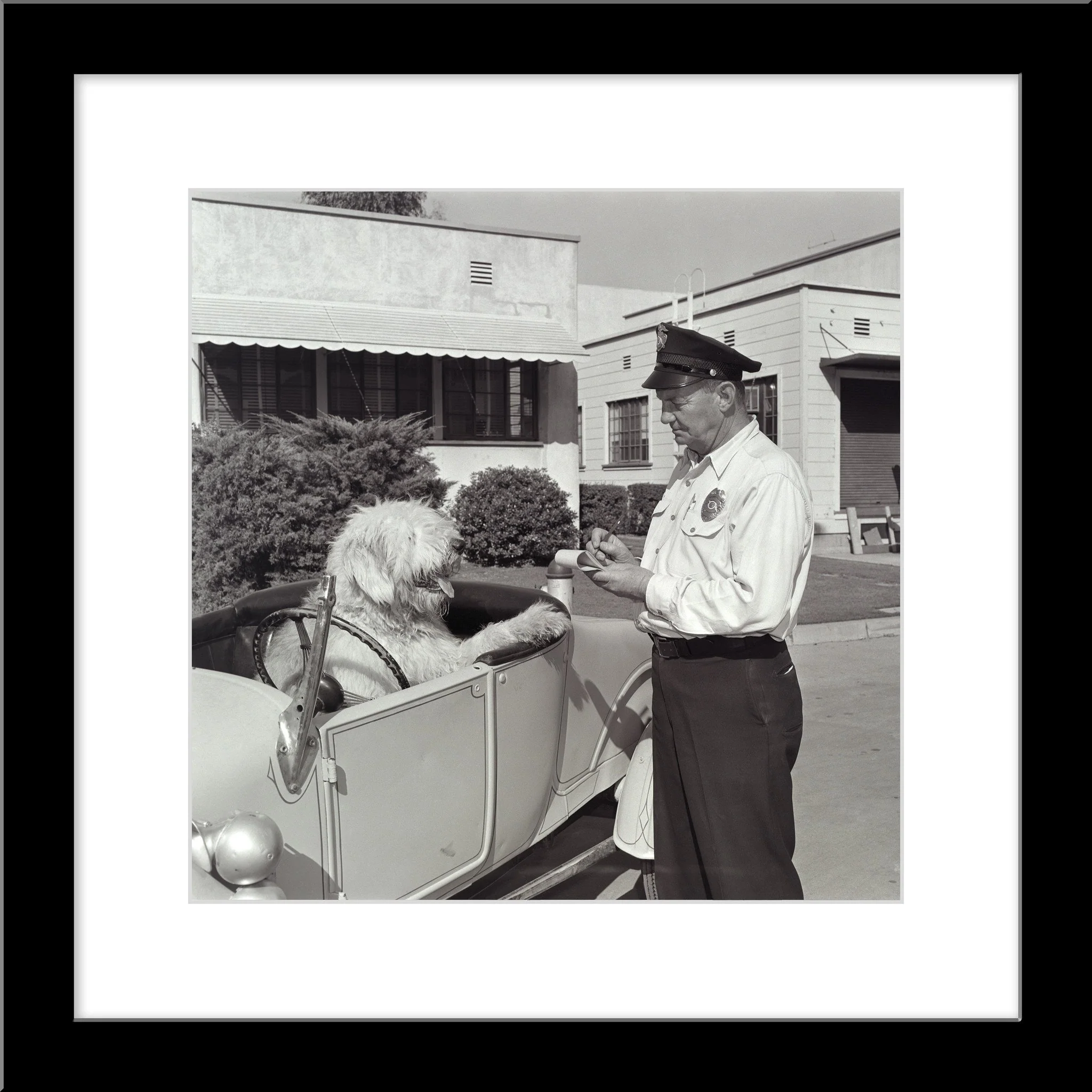 "The Shaggy Dog Speeding Ticket" from Disney Photo Archives - Image 6