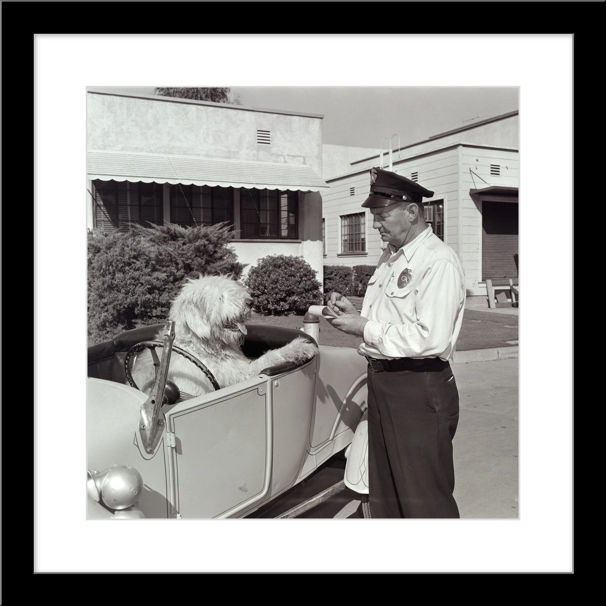"The Shaggy Dog Speeding Ticket" from Disney Photo Archives - Image 7