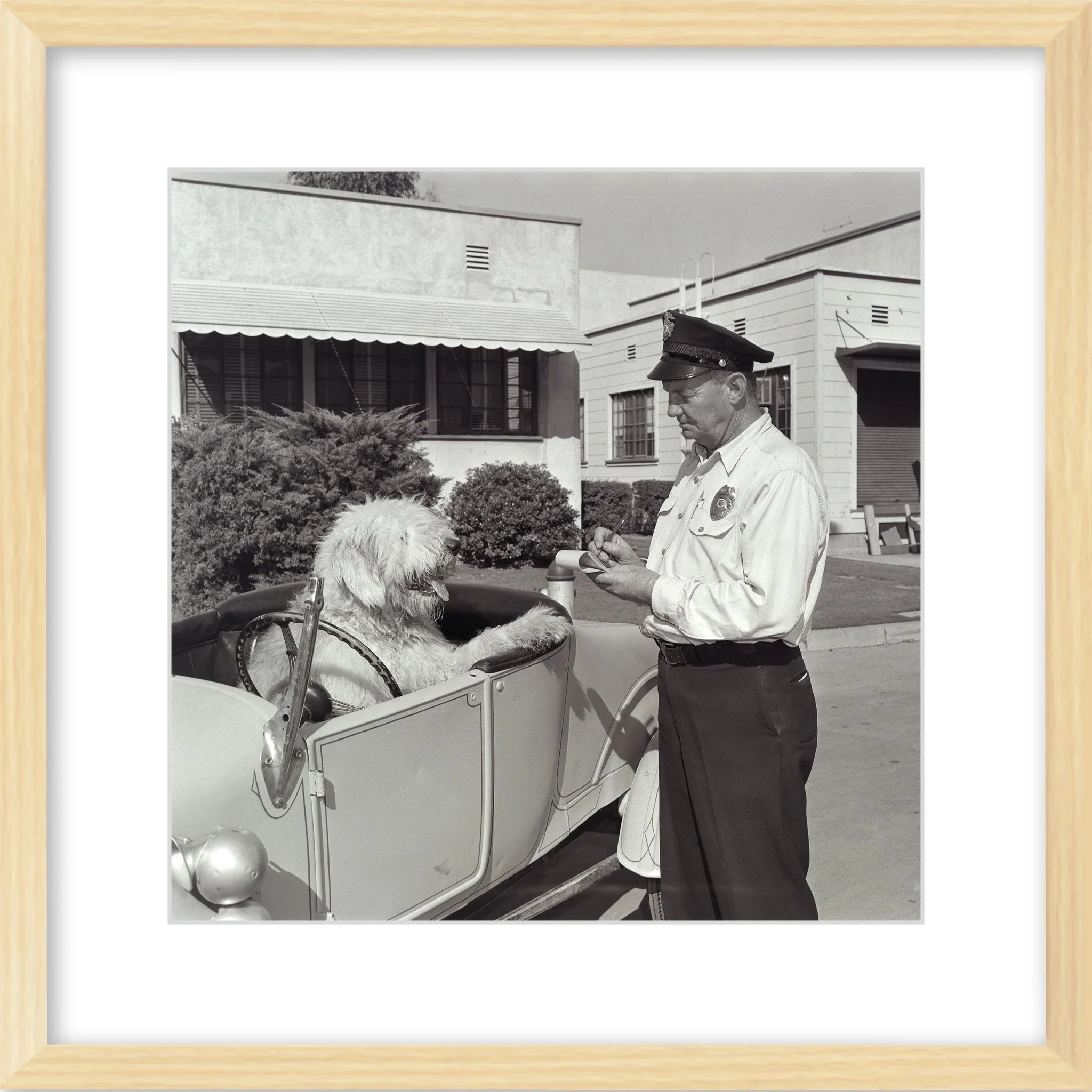 "The Shaggy Dog Speeding Ticket" from Disney Photo Archives - Image 9
