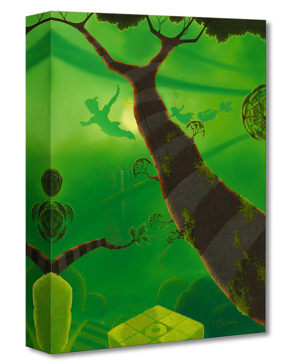 "To Neverland" by Michael Provenza