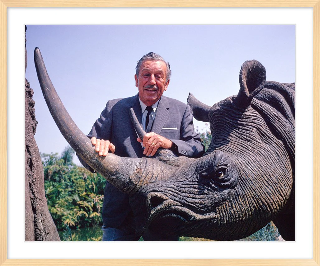 "Walt & Jungle Cruise Rhinoceros" from Disney Photo Archives - Image 10