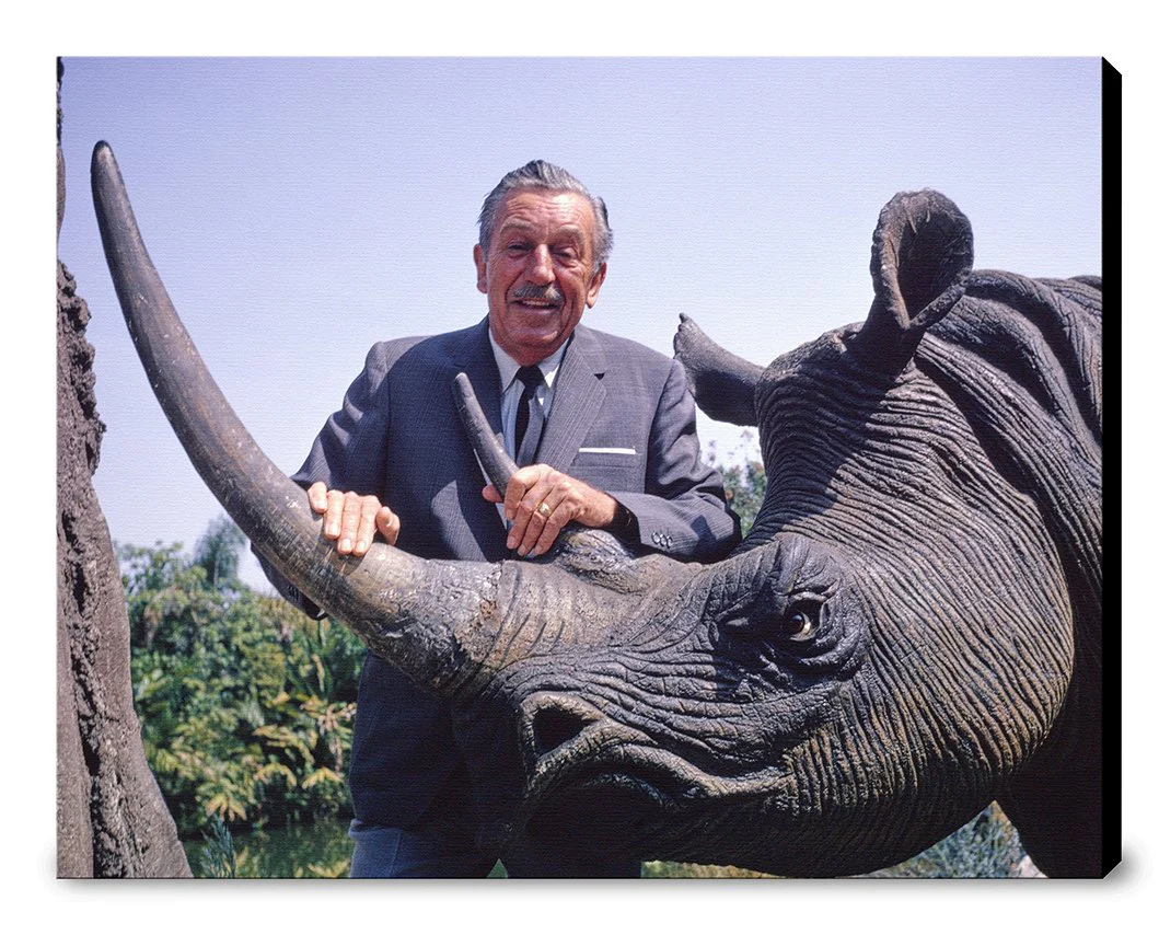 "Walt & Jungle Cruise Rhinoceros" from Disney Photo Archives - Image 11