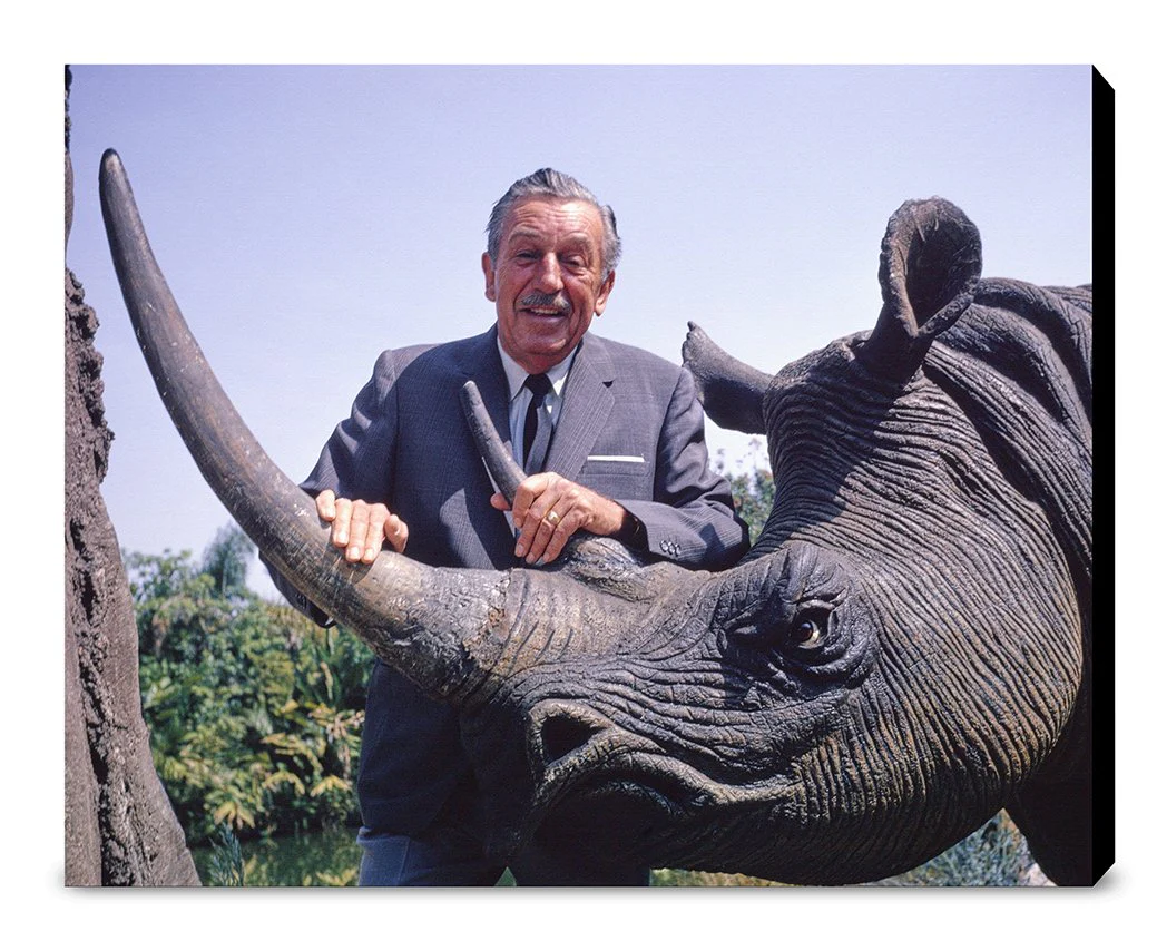 "Walt & Jungle Cruise Rhinoceros" from Disney Photo Archives - Image 13