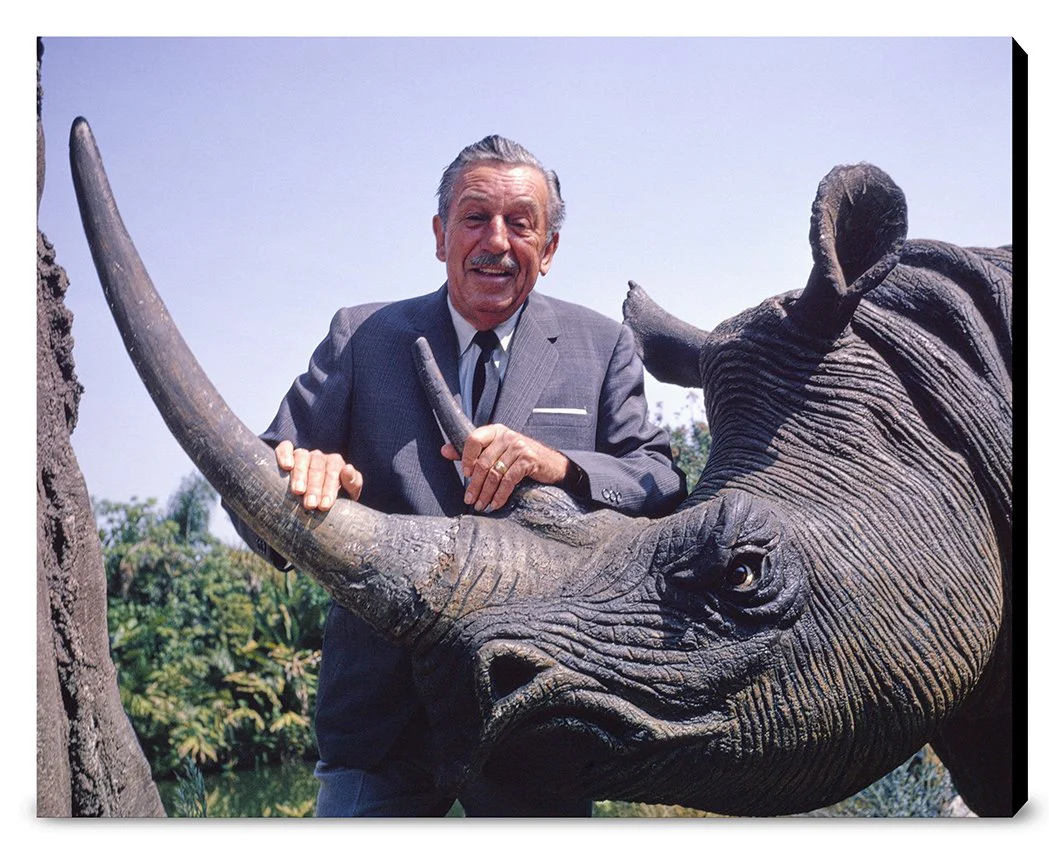 "Walt & Jungle Cruise Rhinoceros" from Disney Photo Archives - Image 15