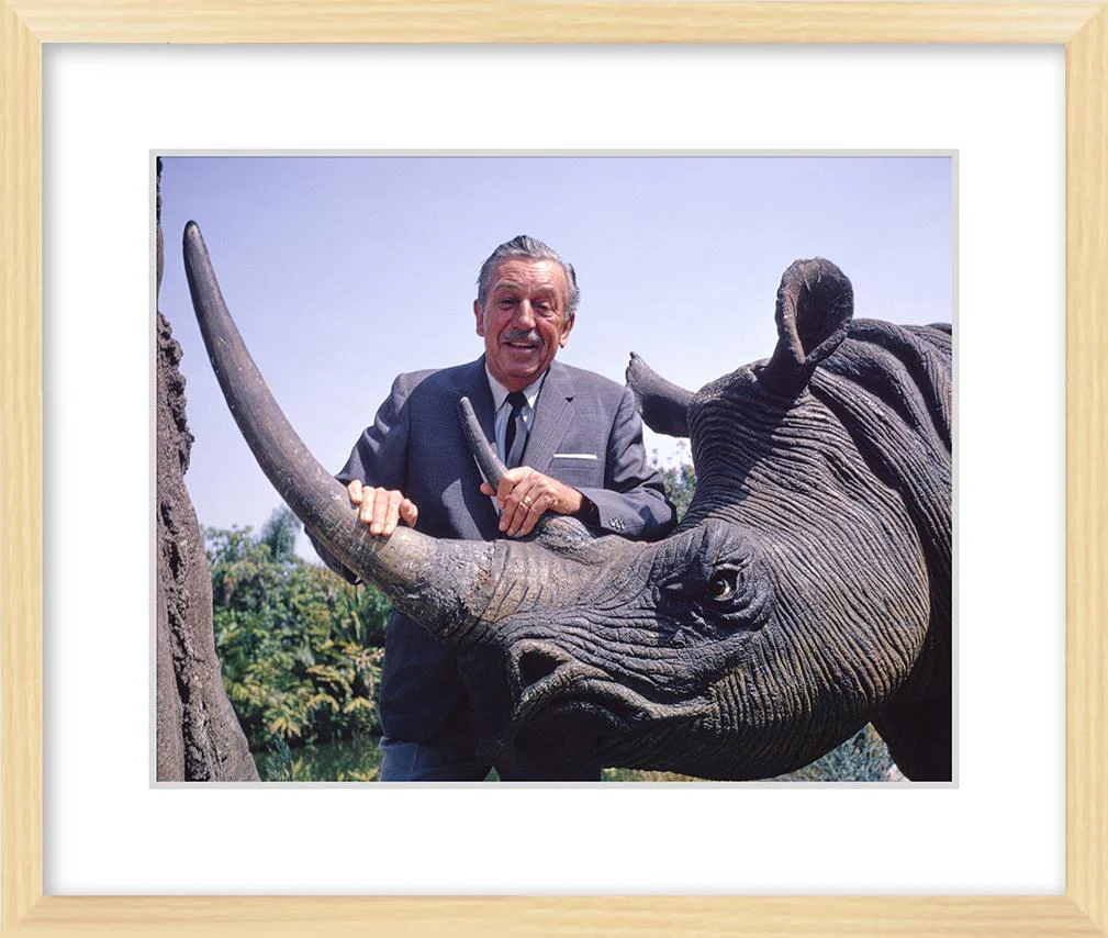 "Walt & Jungle Cruise Rhinoceros" from Disney Photo Archives - Image 8