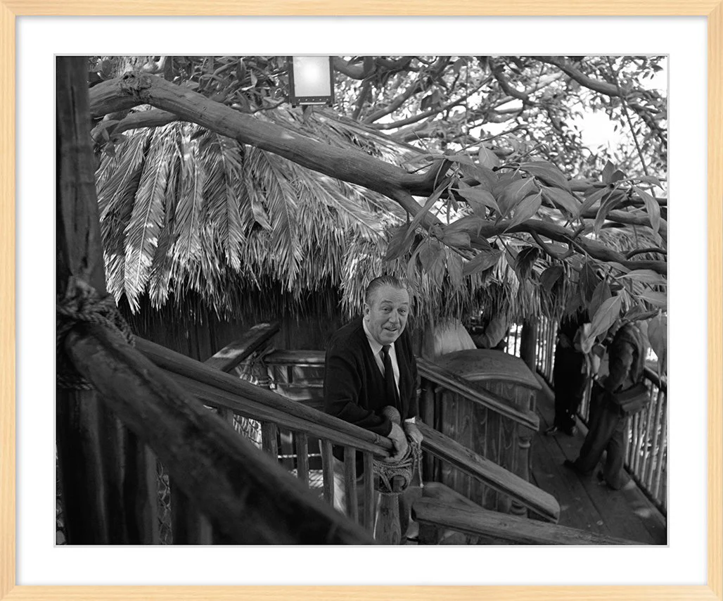 "Walt at Swiss Family Tree House" from Disney Photo Archives - Image 10