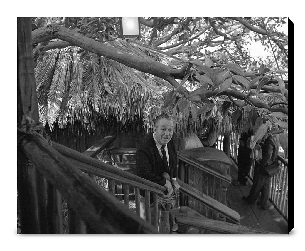 "Walt at Swiss Family Tree House" from Disney Photo Archives - Image 13