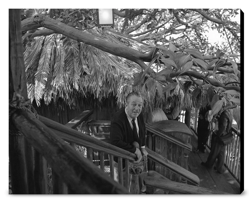 "Walt at Swiss Family Tree House" from Disney Photo Archives - Image 15