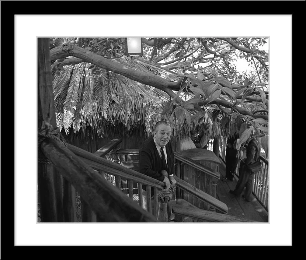 "Walt at Swiss Family Tree House" from Disney Photo Archives - Image 6
