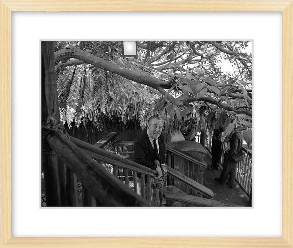 "Walt at Swiss Family Tree House" from Disney Photo Archives - Image 8
