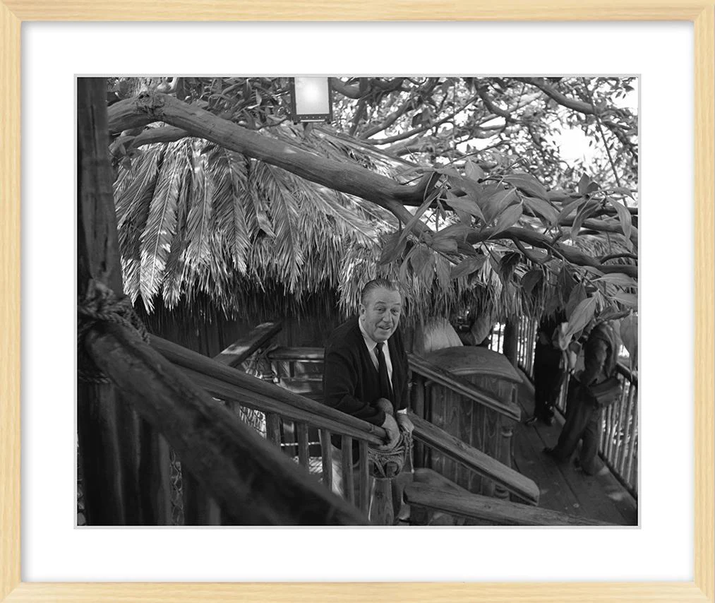"Walt at Swiss Family Tree House" from Disney Photo Archives - Image 9