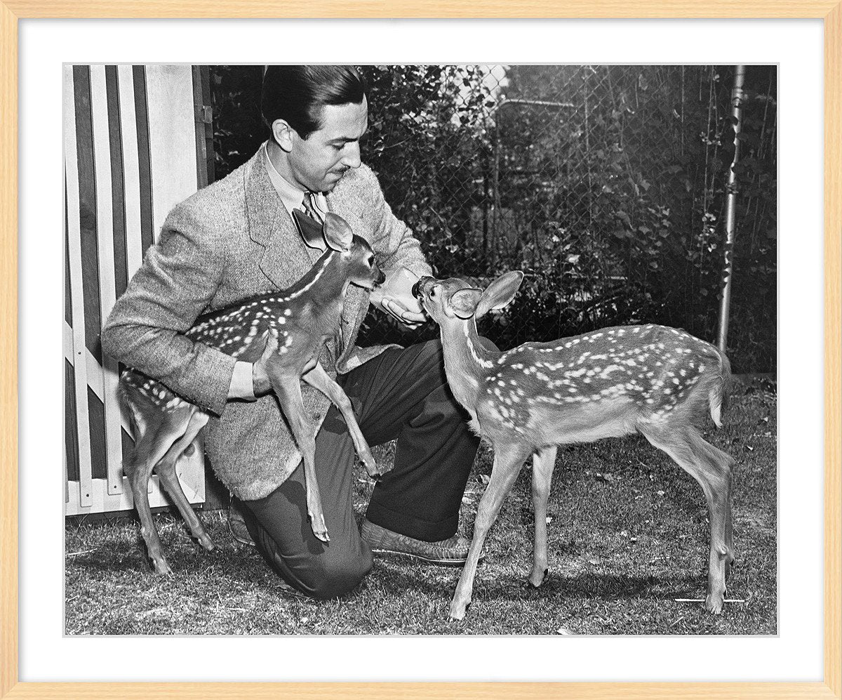 "Walt & Deer" from Disney Photo Archives - Image 10