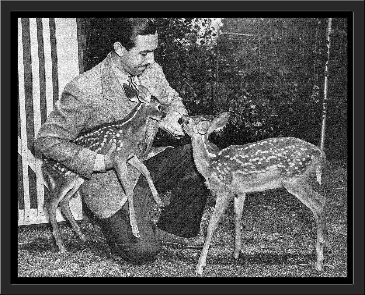 "Walt & Deer" from Disney Photo Archives - Image 11