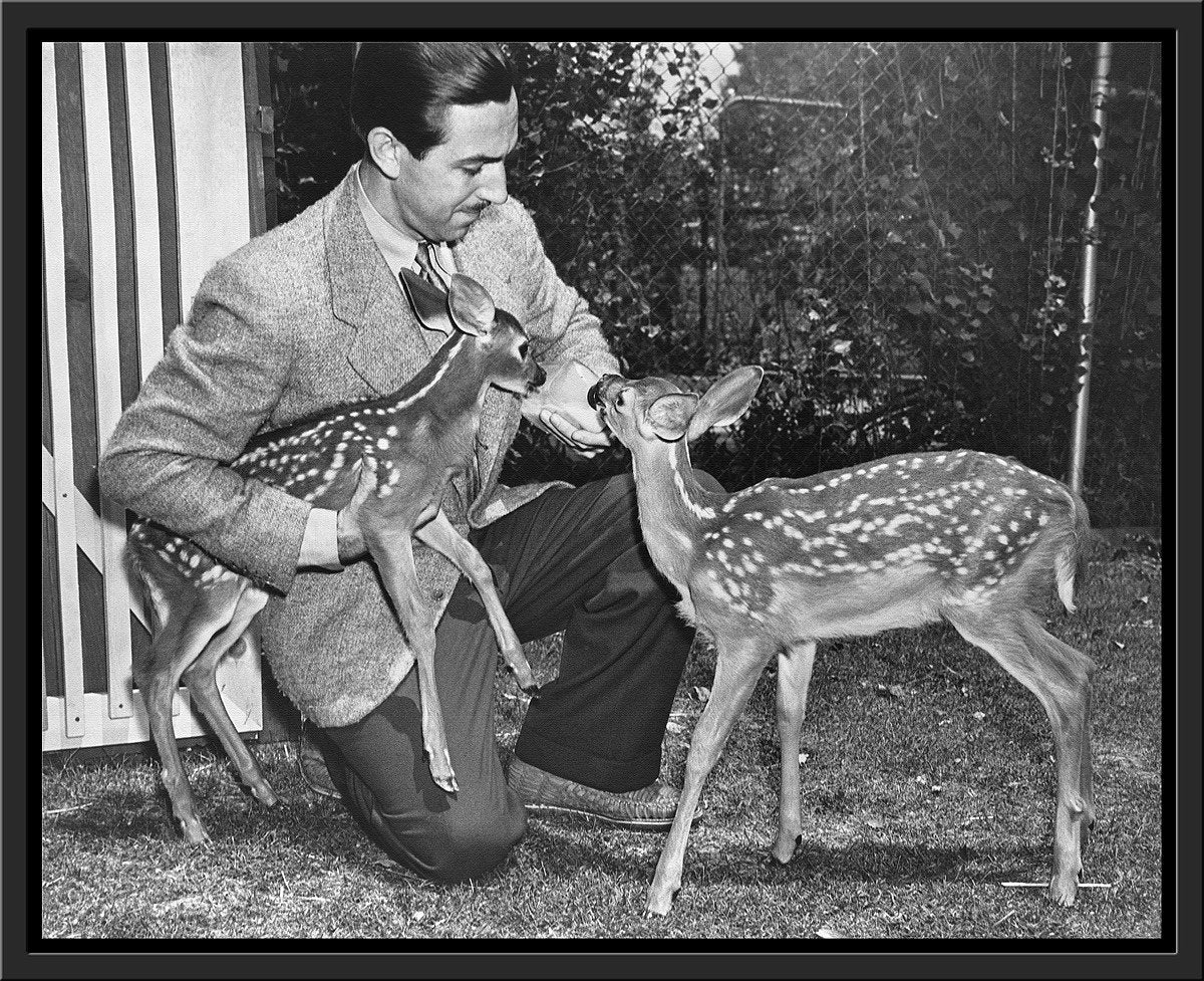 "Walt & Deer" from Disney Photo Archives - Image 15