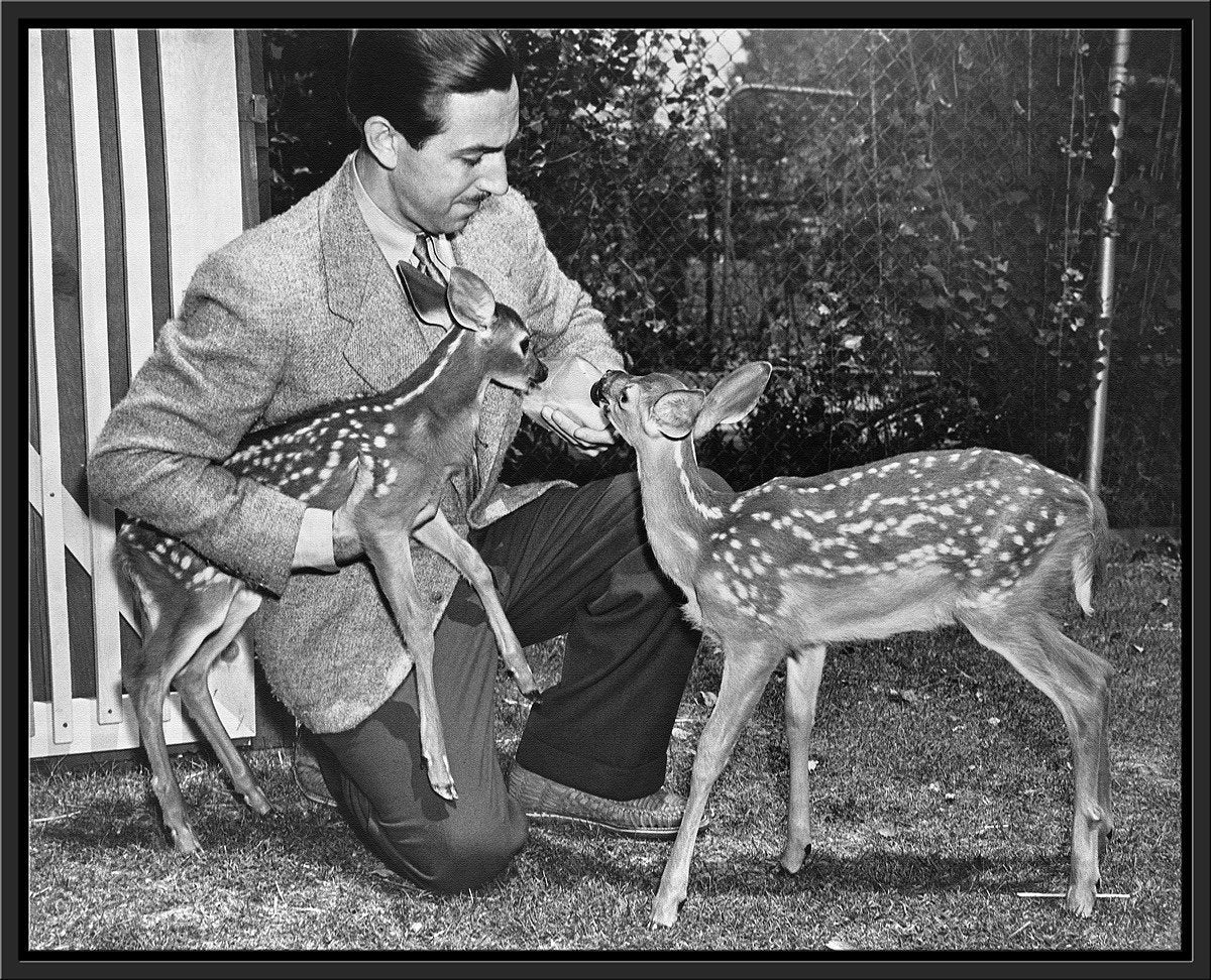 "Walt & Deer" from Disney Photo Archives - Image 16