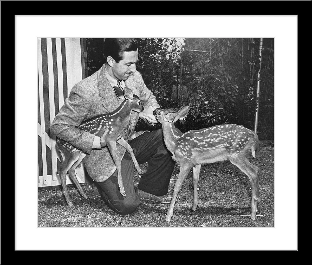 "Walt & Deer" from Disney Photo Archives - Image 6