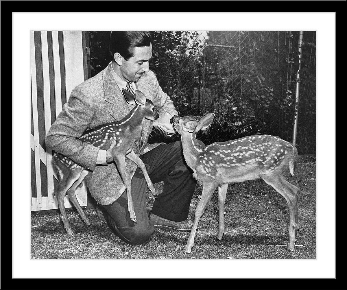 "Walt & Deer" from Disney Photo Archives - Image 7