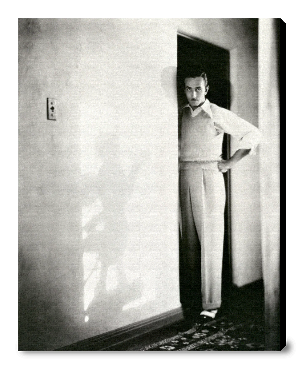"Walt & Mickey Mouse Shadow" from Disney Photo Archives - Image 14