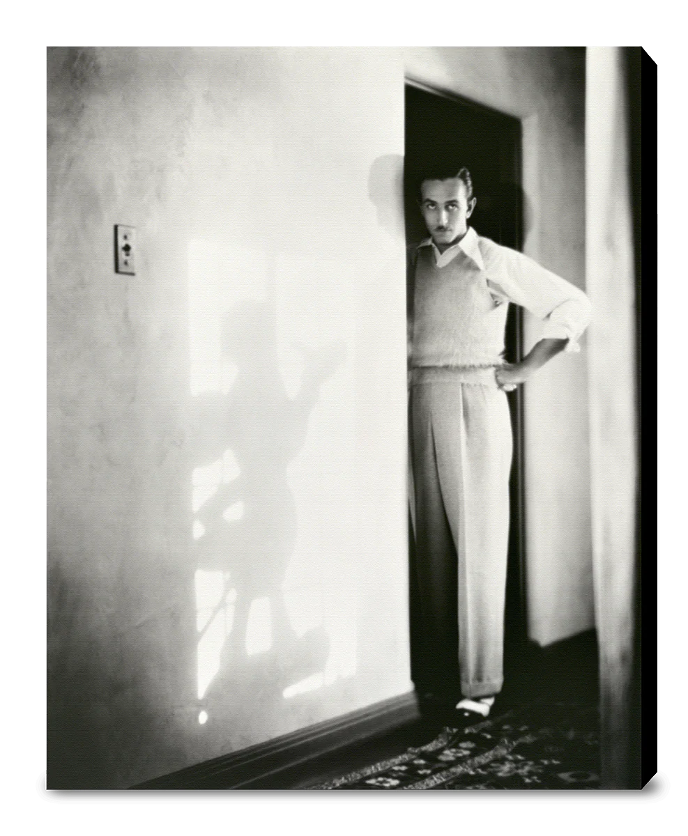 "Walt & Mickey Mouse Shadow" from Disney Photo Archives - Image 15
